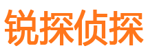 龙子湖寻人公司